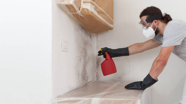 Professional Mold Testing technician working in Glendora, NJ